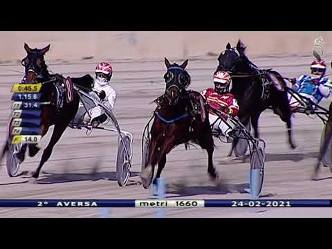 Aversa trotto 24 Febbraio 2021 - 2° Corsa