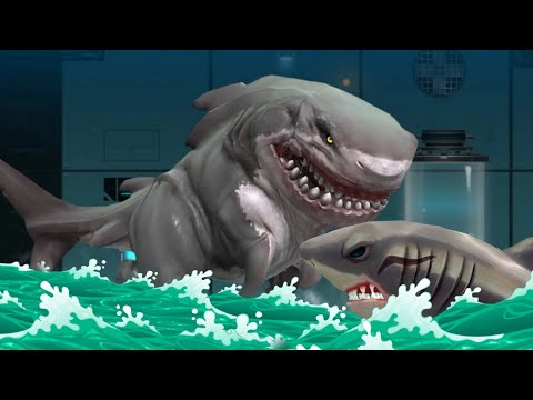 SHARKOSAURUS VS  THE MEG - Hungry Shark Evolution VS Sharkosaurus