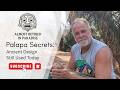 Why It S Called A Palapa Traditional Building Secrets From Mexico