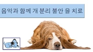 음악은 신경 개를 진정! 당신의 강아지 음악을 편안하게!