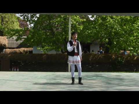 Robert Dumitru- Constantine, Constantine - AnsamblulDoinita