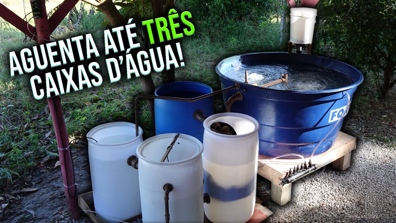 Criação de TILÁPIA em CAIXA D'ÁGUA: Um SUPER UPGRADE! - Chácara SV