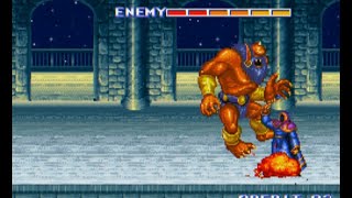 [Super Nintendo] THE KING OF DRAGONS (capcom)