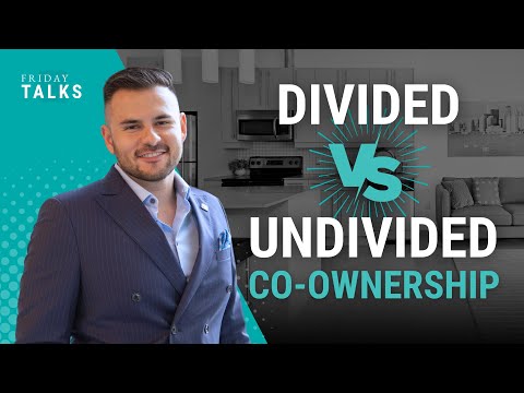 Uncovering the Differences Between Divided and Undivided Co-Ownership