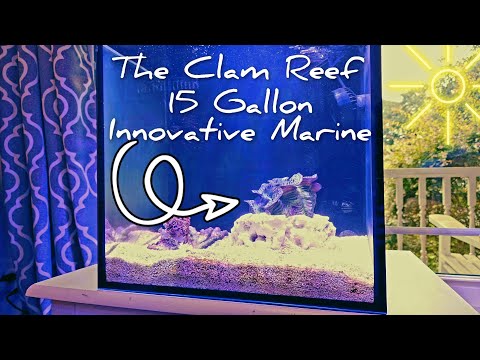 15 Gallon Innovative Marine Nano Reef Tank