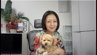 【日本保守党分裂！百田氏「クーデター」？！】デキモノを潰す？！嘘つき豆腐？！