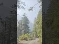 Only Visit To Mountains Can Fix Mood Ytshorts Shortvideo Mountains Travel