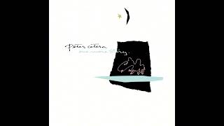 Peter Cetera - Save Me (1988)