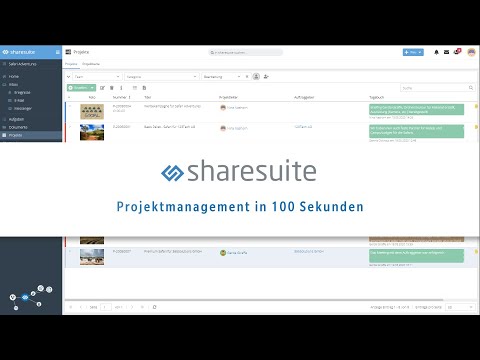 Projektmanagement in 100 Sekunden