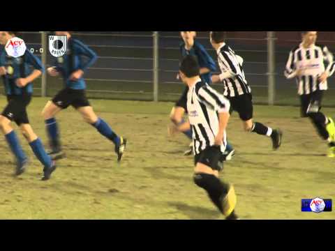 Samenvatting ACV C1 - Roden C1