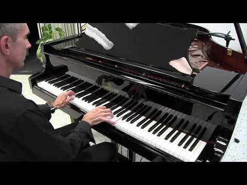 Schiller Concert 5.10 Grand w/Prodigy Player image 5