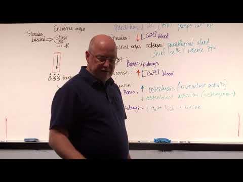 Professor Long - Endocrine Lecture 8, CT, PTH, EPO, Thymosin, and Melatonin