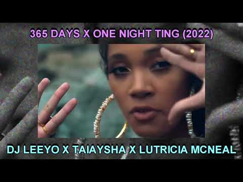 DJ LEEYO - 365 DAYS X ONE NIGHT TING(2022)