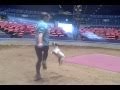 Big Apple Circus Pound Puppies C O SIDESHOWS