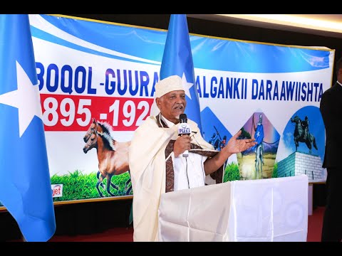 Madaxweyne ku xigeenka Puntland oo ka qayb galay  Xuska Boqol-guurada kasoo wareegatay halgankii Daraawiishta