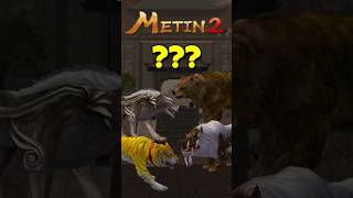 Miniaturka - Metin2 - Who are Lykos, Bera, Scrofa, Tigris?
