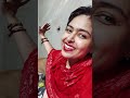 MERRY CHRISTMAS TINA LAHIRI DESCRIPTION DONATION