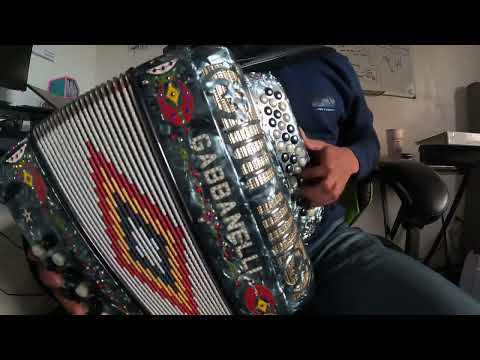Cayo el de la Capi (Acordeon) - Martin Castillo, Jose Aldaz