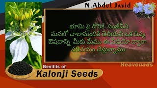 ఈ విత్తనాల గురించి తెలిస్తే వాడకుండా ఉండలేరు.....special story about kalonji