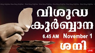 Holy Mass I Malayalam Mass I November 1 I Saturday I Qurbana I 6.45 AM