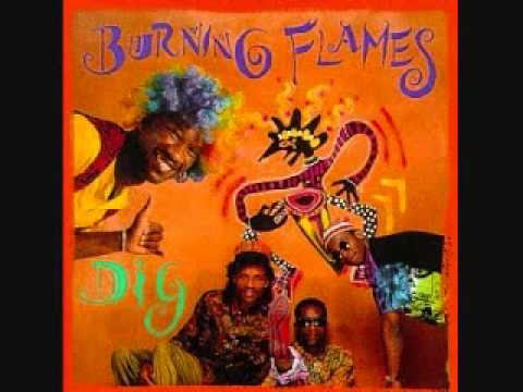 Burning Flames - Chook & Dig