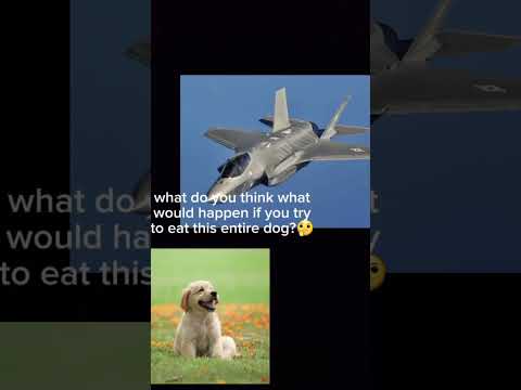 F-35 becomes Chinese 🤯 #funny #aviation #plane #f35 #j31