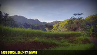 Download lagu Lagu Sunda || BALIK KA SAWAH || Lagu Sunda terpopuler mp3 Download lagu Lagu Sunda || BALIK KA SAWAH || Lagu Sunda terpopuler mp3
