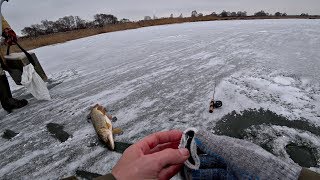 Леска на балансир для окуня