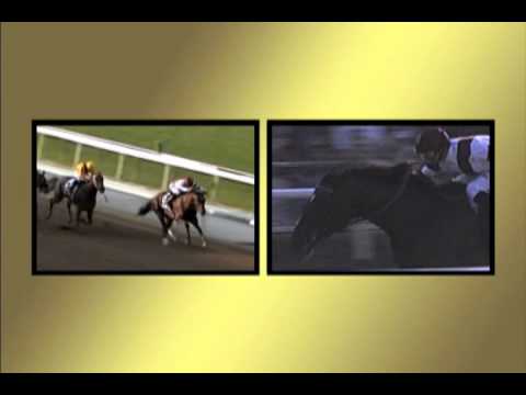 Straight From the Horse's Mouth: INCLUDE ME OUT