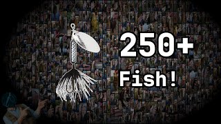 Learn this Lure, and Fish WON'T STOP BITING!