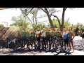 BOTSWANA Elephant Trails Cycle Trip 4k