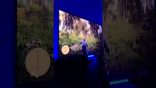 Red Dead Redemption II | Helping an abducted women.