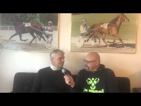 Aperfectyankee blir avelshingst