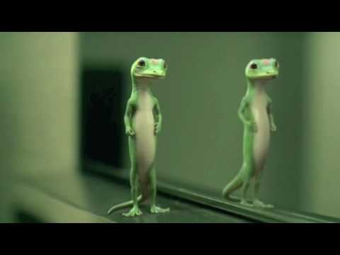 download lagu mp3 mp4 Ring A Ding Ding Ding Dong Ringtone, download lagu Ring A Ding Ding Ding Dong Ringtone gratis, unduh video klip Ring A Ding Ding Ding Dong Ringtone