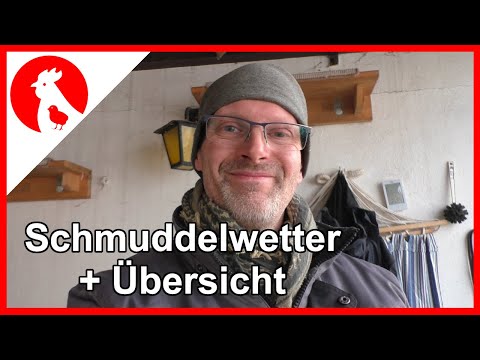 082 Bad weather and project meeting - Jensman and the Huhns