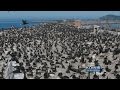 Cormorant Culling Underway To Save Salmon