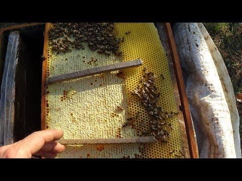 Простой способ в зиму с малым запасом кормов на пасеке