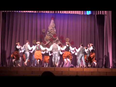 JDK "Austris" studija - Cūkas driķos