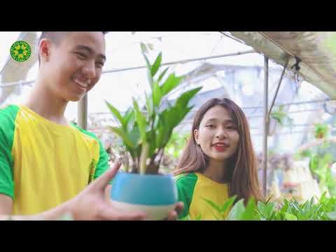 [VNUA] Vườn hoa sinh viên - Học viện Nông nghiệp Việt Nam