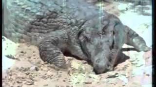 Stormwitch   Fallen from God