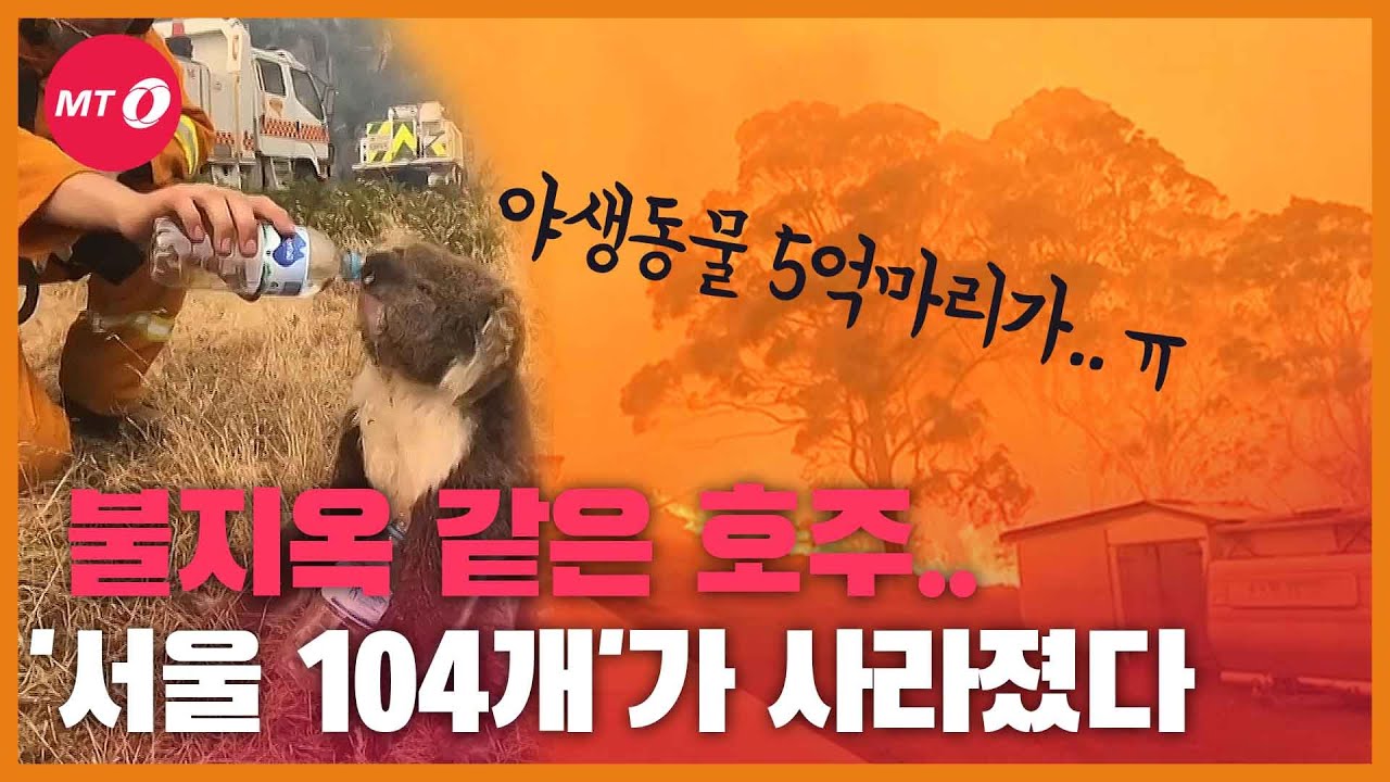 [현장+]지독한 호주 산불…'서울 104개'가 사라졌다!
