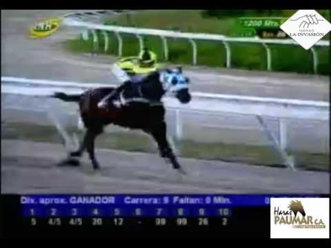 LA RINCONADA 9 CARRERA, DOMINGO 18 DE DICIEMBRE DEL 2016