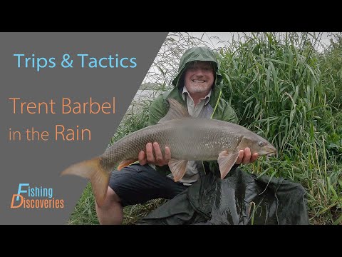 Barbel Fishing in the Rain: River Trent Summer Downpour!