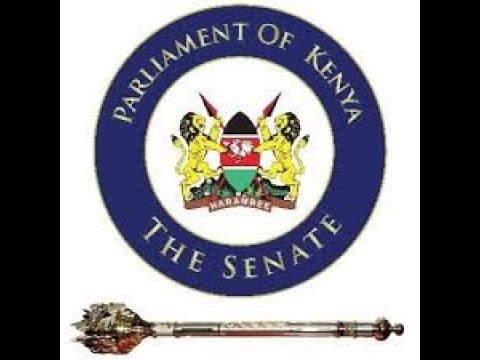 The Senate Plenary || Wednesday 3rd  December 2025 || Afternoon Session