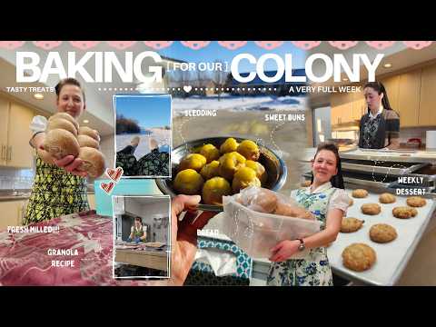 I'm back!!! & getting into a bake week on our colony with 120+ members.