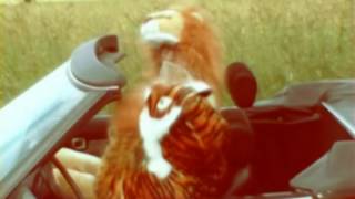 Hidalgo - Fear Loads Trouble (official video)