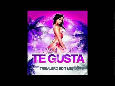 Sins Of Sound - Te Gusta (Original Mix)