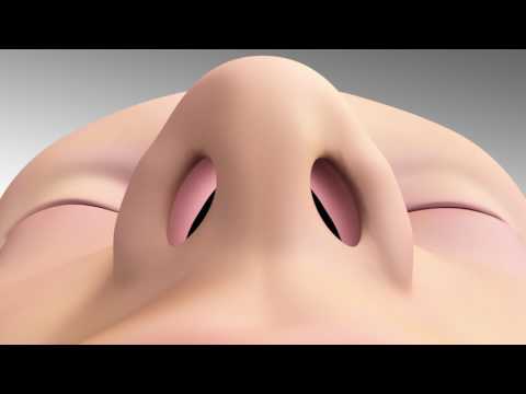  LATERA Animation