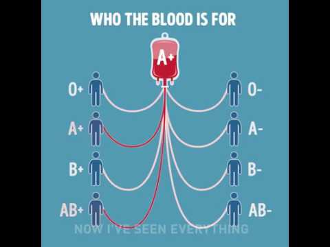 download lagu mp3 mp4 Who Can Donate Blood To O Negative, download lagu Who Can Donate Blood To O Negative gratis, unduh video klip Who Can Donate Blood To O Negative