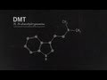 What Is DMT? Joe Rogan